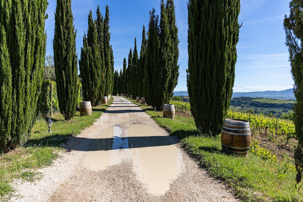 TENUTA LA PAZZAGLIA — Ristorante a Civita di Bagnoregio, Viterbo