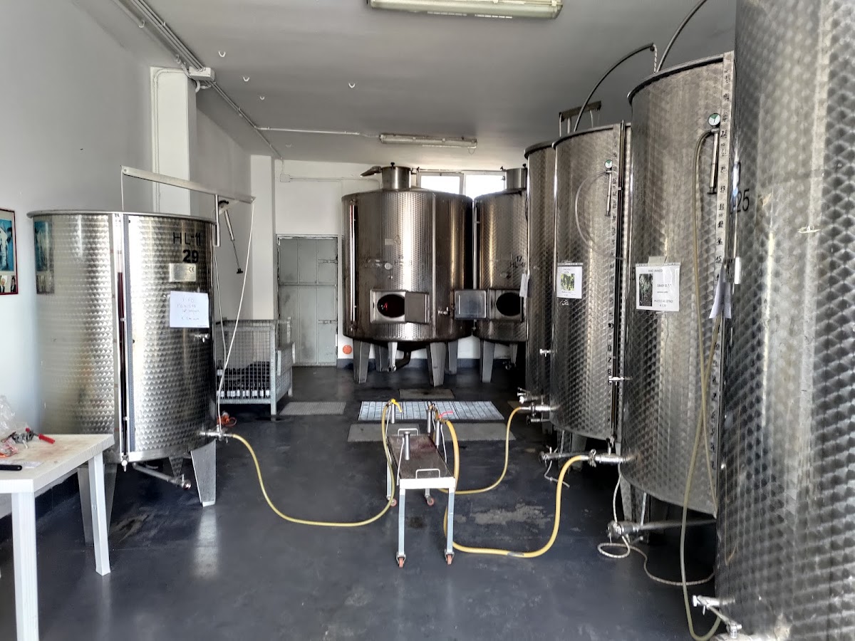 Cantina F.A.Vino Srls