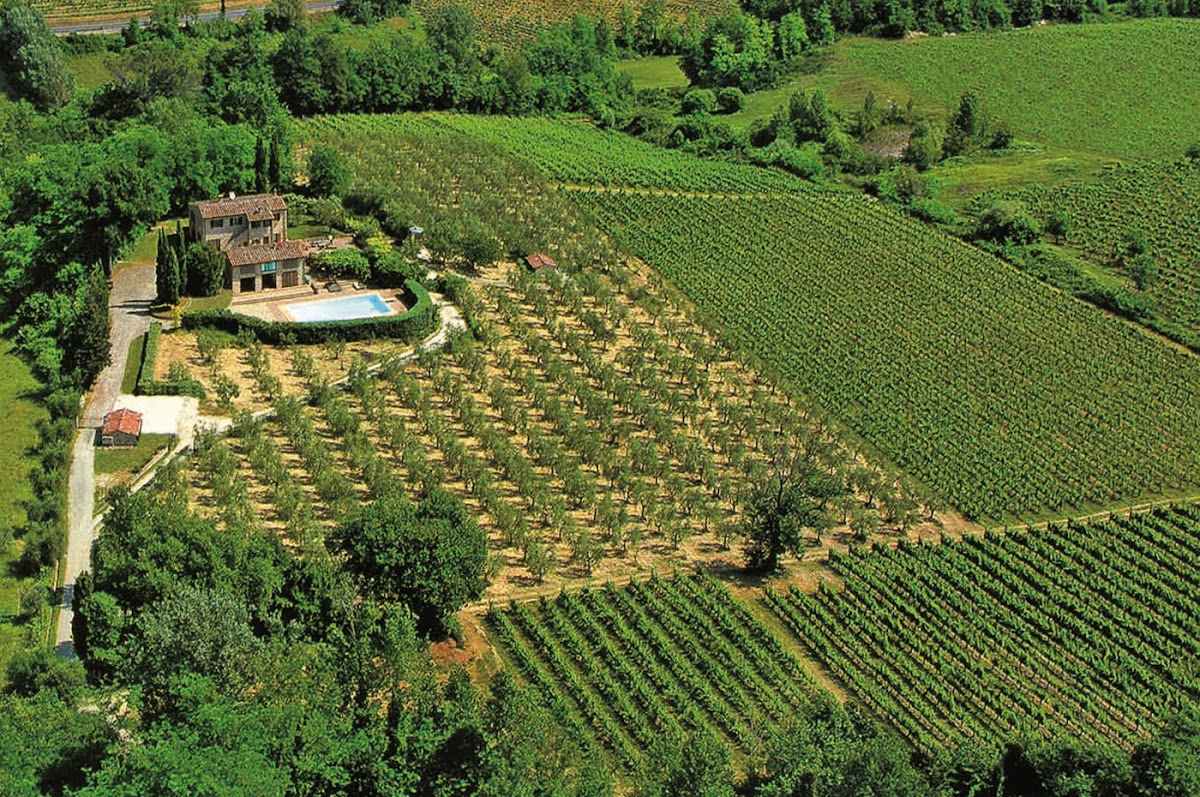 Tenuta Le Calcinaie