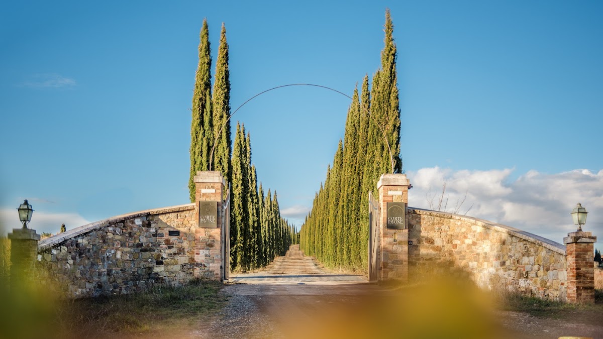 CORTE PAVONE - Brunello di Montalcino Winery — Ristorante a Montalcino, Siena