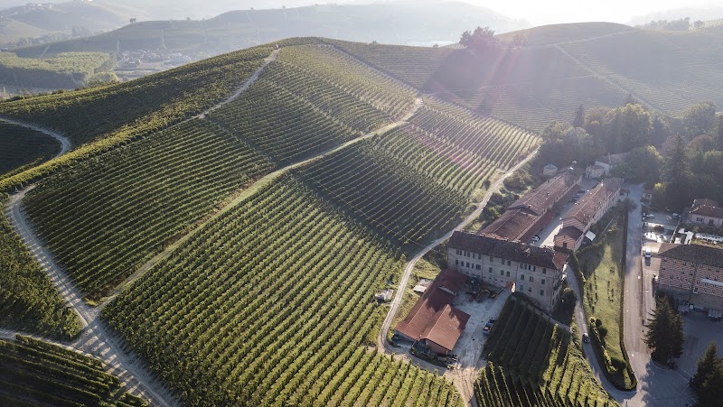 Cantine Fontanafredda — Ristorante a Barolo, Cuneo