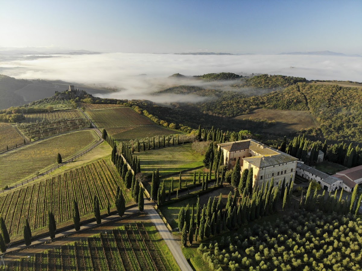 Argiano S.R.L. Societa' Agricola — Ristorante a Montalcino, Siena