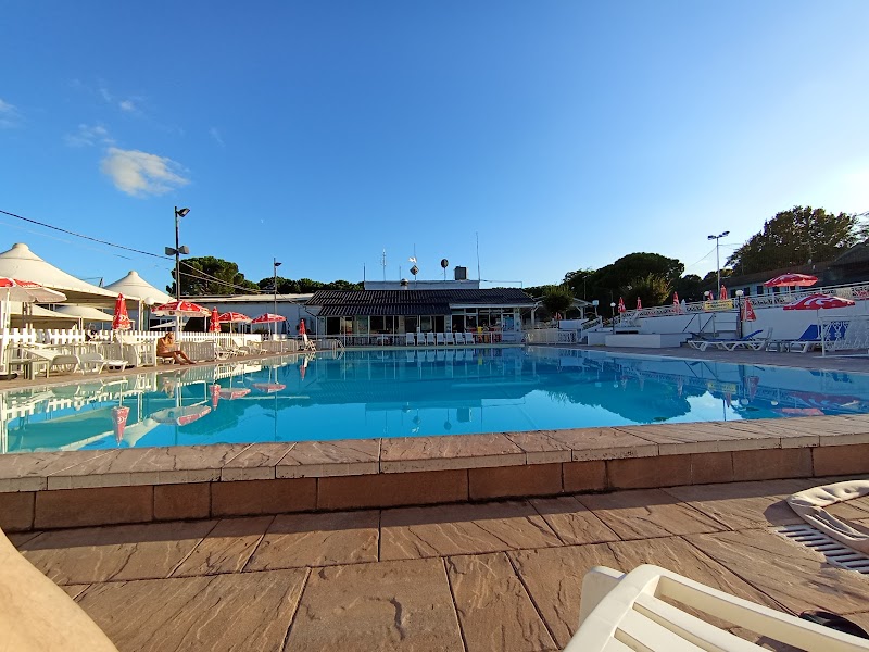 Le Acacie Pizzeria Ristorante Discoteca Piscina — Ristorante a Vercelli, Vercelli
