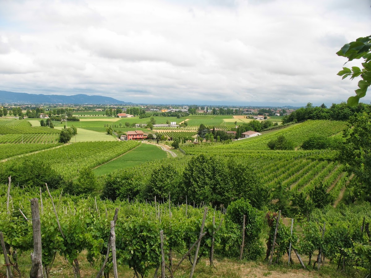 Azienda Agricola Reassi di Bonato Diego — Ristorante a Padova, Padova