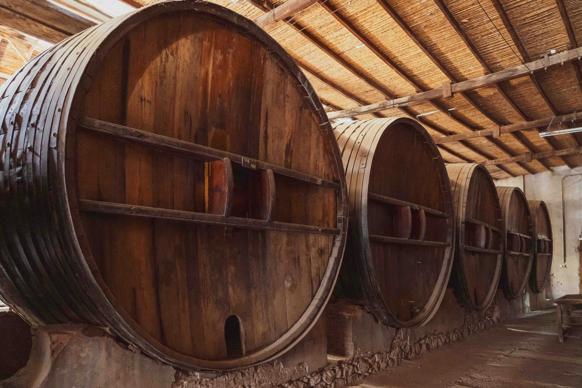 Vini San Nicola — Ristorante a Termoli, Campobasso