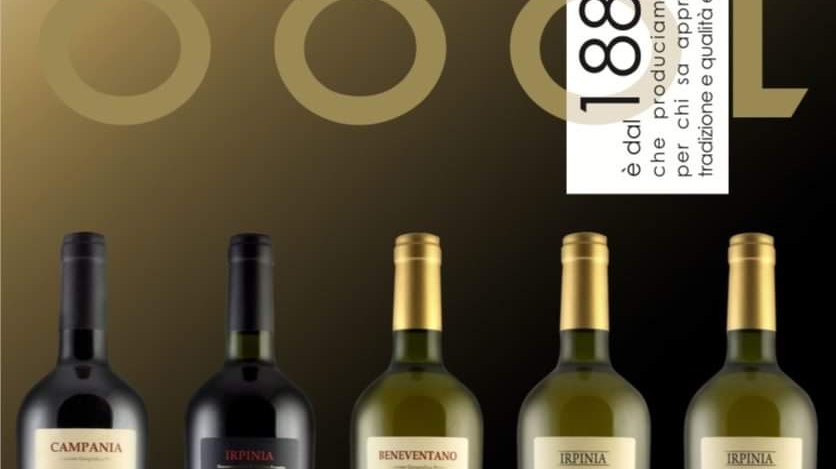 Cantina Corvino