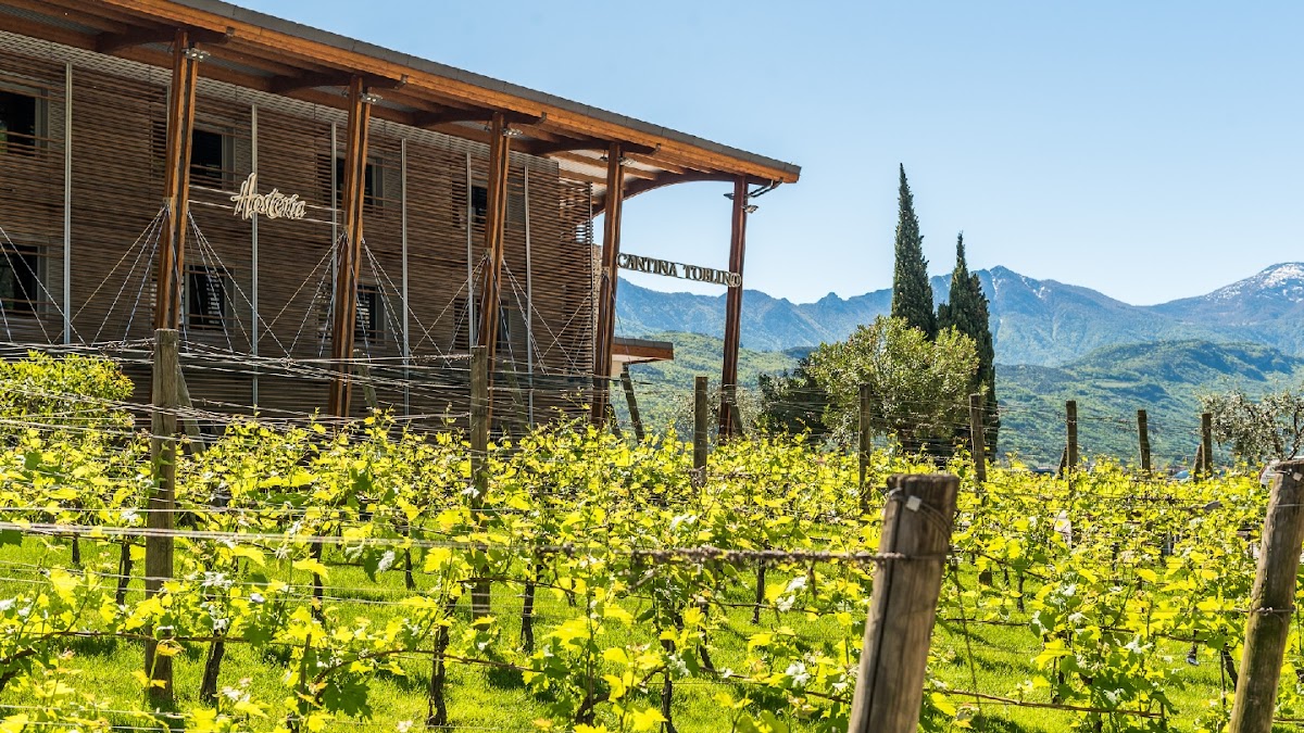 Cantina Toblino — Ristorante a Trento, Trento