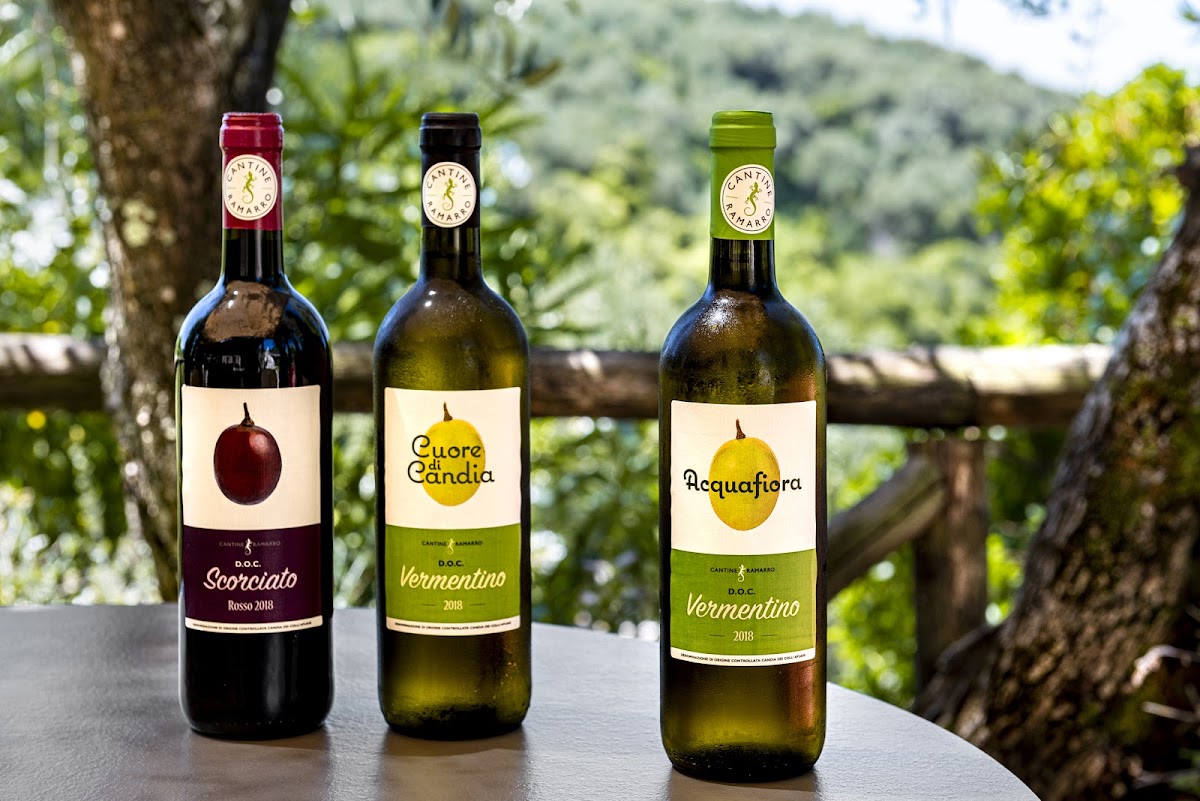 Cantine Ramarro | Produzione e Vendita Vini DOC — Ristorante a Lerici, La Spezia