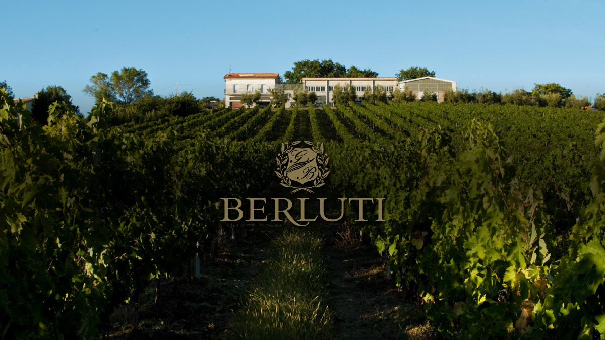 Azienda Vinicola Berluti — Ristorante a Ancona, Ancona