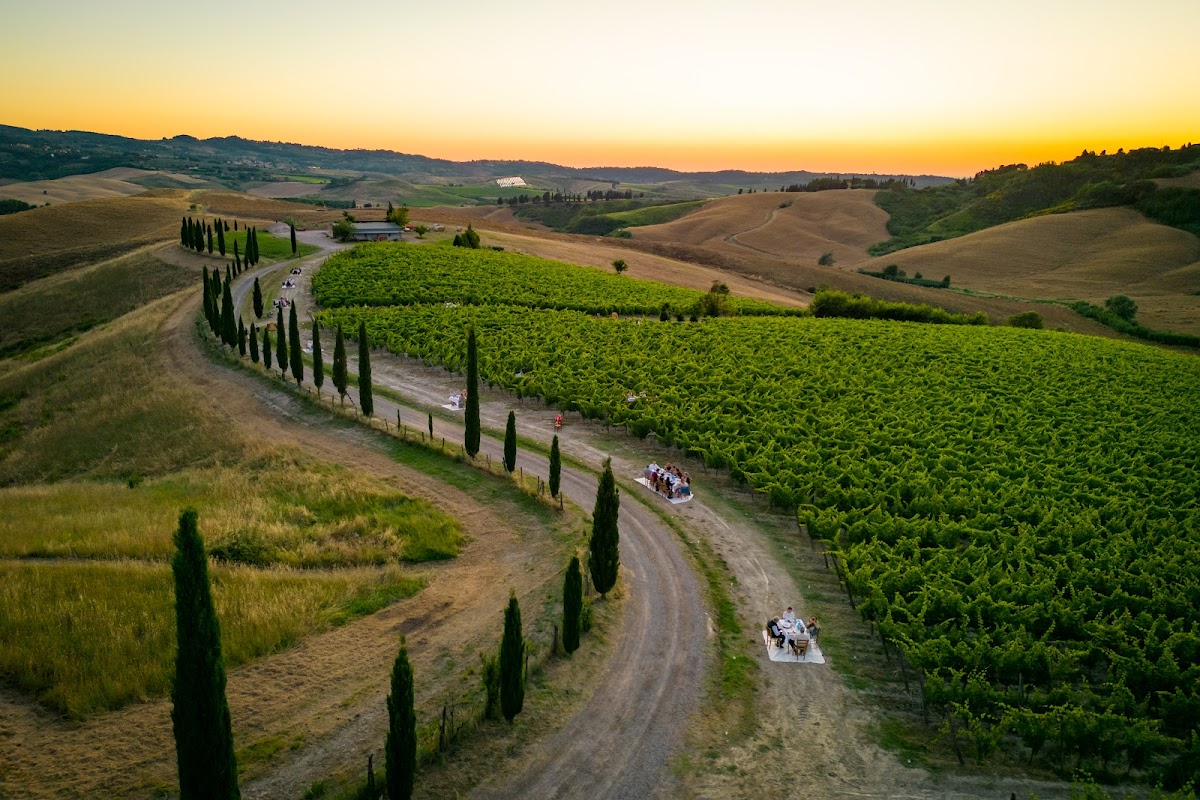 Azienda Agricola Castelvecchio Terricciola