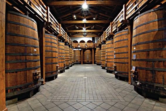 Cantine Patria — Ristorante a Taormina, Messina
