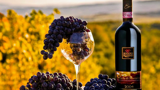 Poggio Rubino Family Winery — Ristorante a Montalcino, Siena