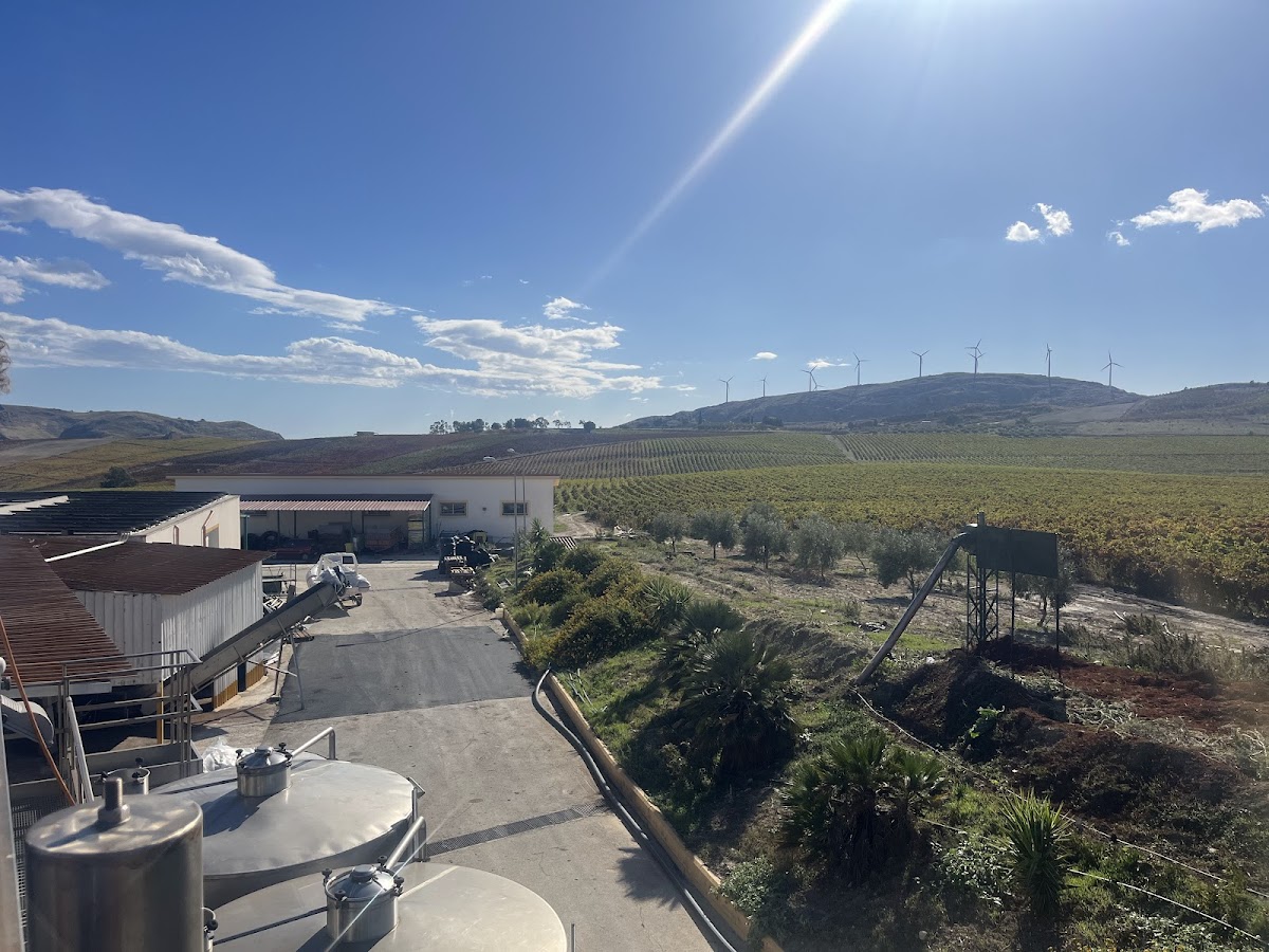 Tenuta Morreale Agnello - Casa Olivinicola Cantina Biologica Sicilia — Ristorante a Agrigento, Agrigento