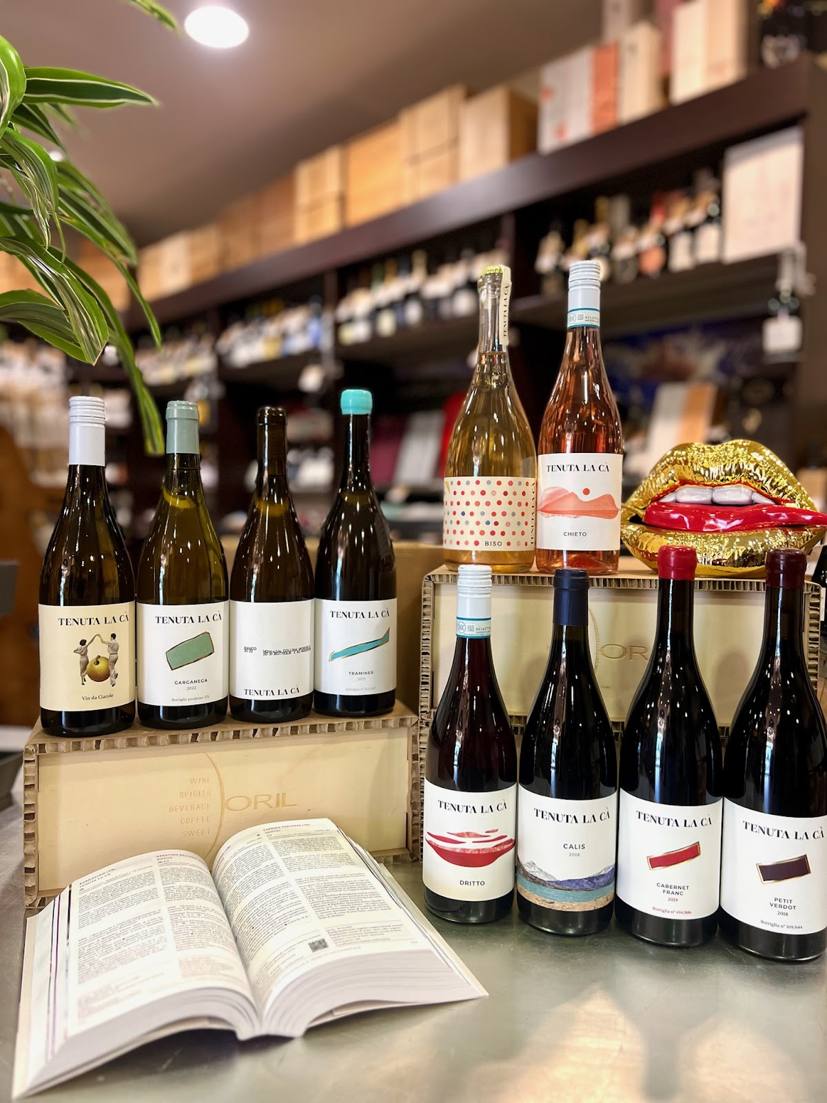 Enoteca ORIL - ORIL Wine&More — Ristorante a Macerata, Macerata