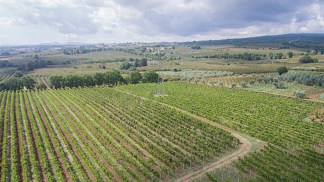 Cantina Onofri