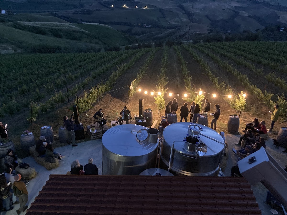 Cantina Sesì — Ristorante a Ascoli Piceno, Ascoli Piceno