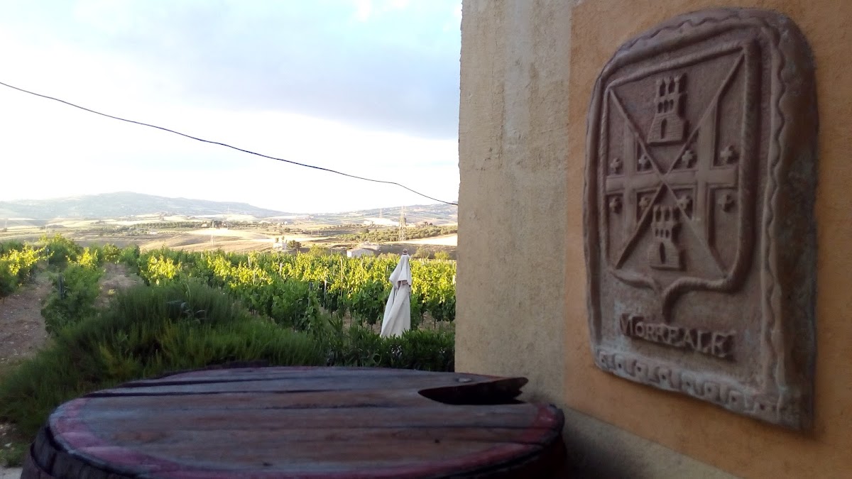 Casa Vinicola Morreale - Vini Favara Agrigento - Vino Grillo Siciliano Nero d'Avola — Ristorante a Agrigento, Agrigento