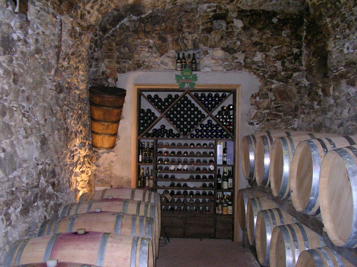 Cantina Bailoni sas