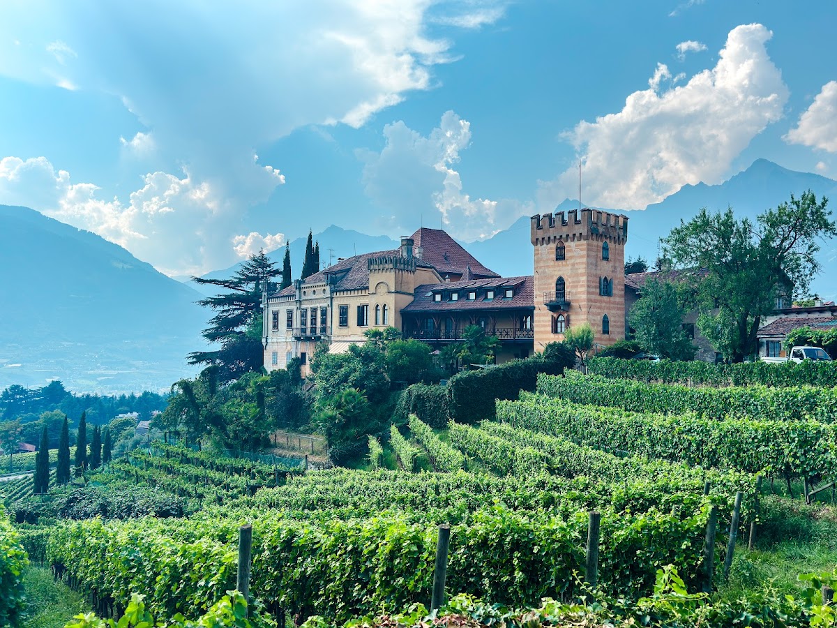 Azienda Vitivinicola Castello Rametz S.R.L. — Ristorante