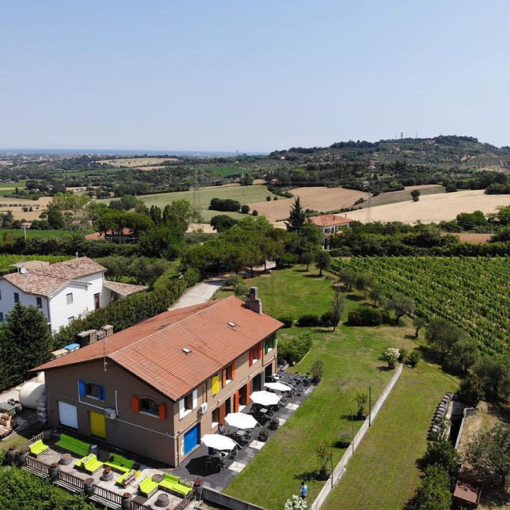 San Valentino Azienda Agricola Bio — Ristorante a Rimini, Rimini