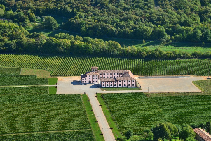 Cantine Menegolli — Ristorante a Verona, Verona
