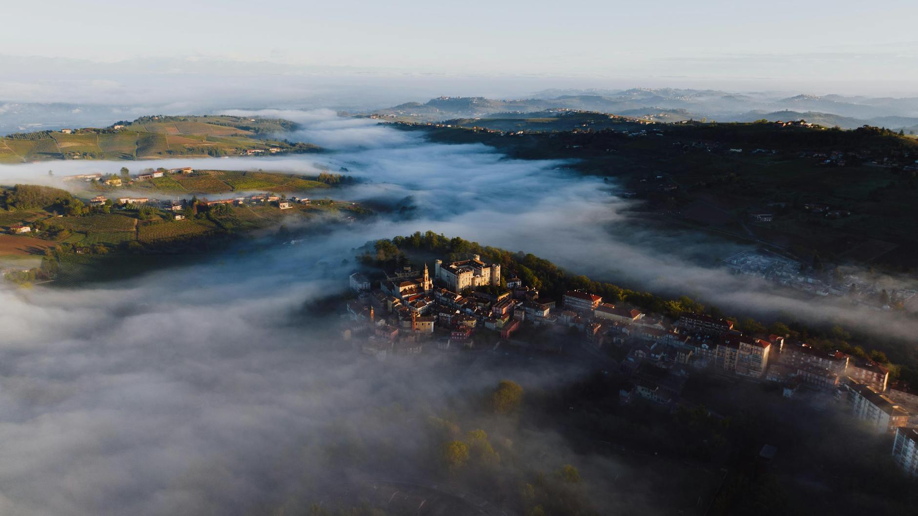 Il Pangolino