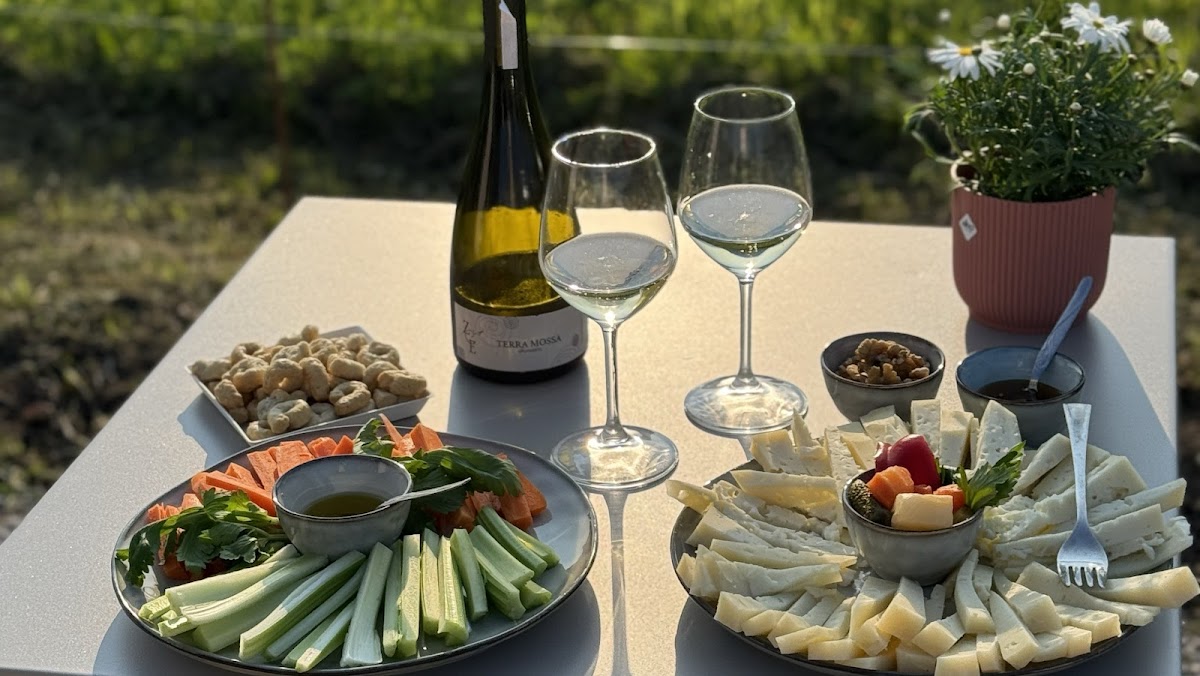 Cantina Zoe — Ristorante a Bassano del Grappa, Vicenza