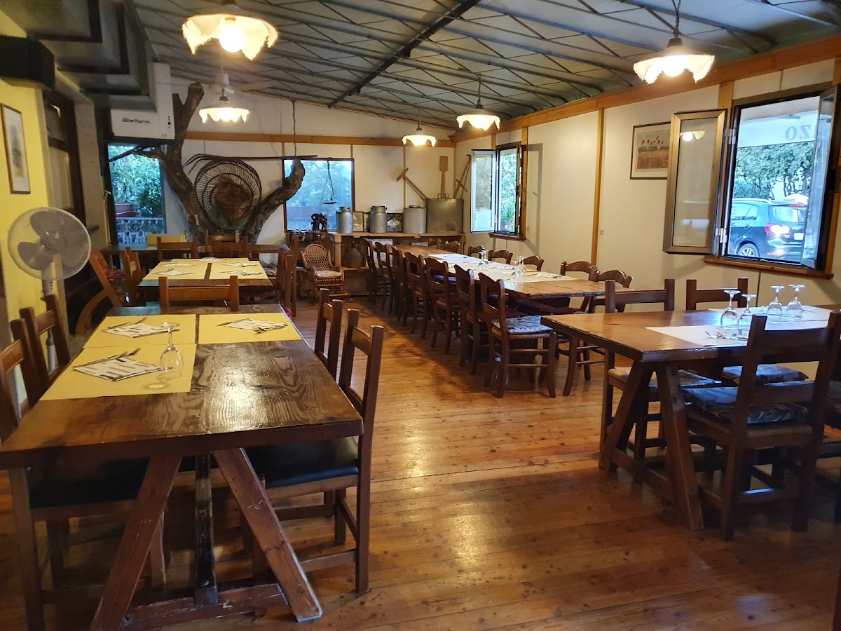 Trattoria Fricheria al Cavallino — Ristorante a Palmanova, Udine