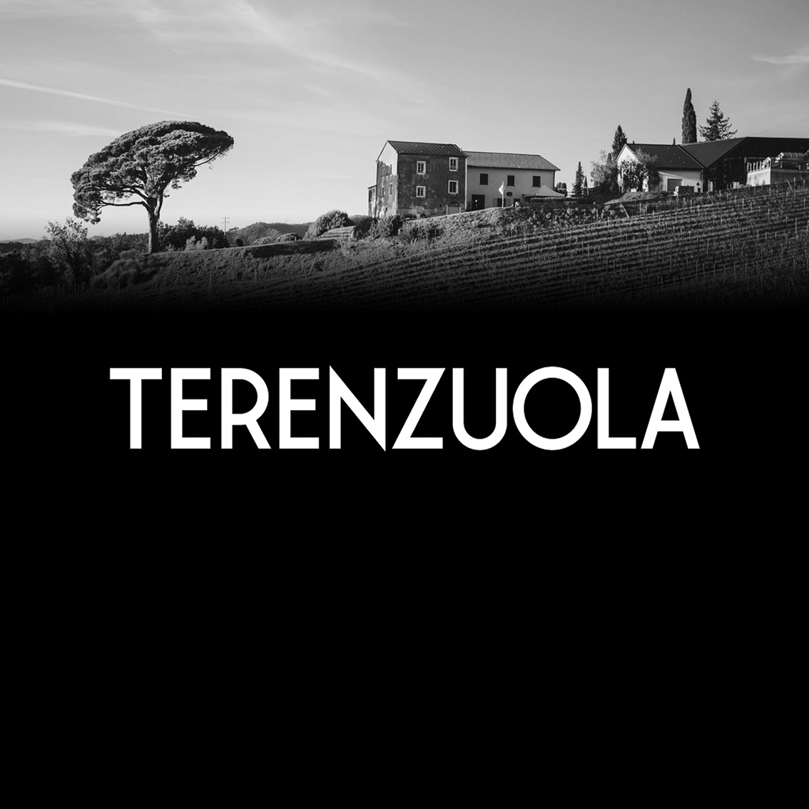 Terenzuola — Ristorante a Lerici, La Spezia