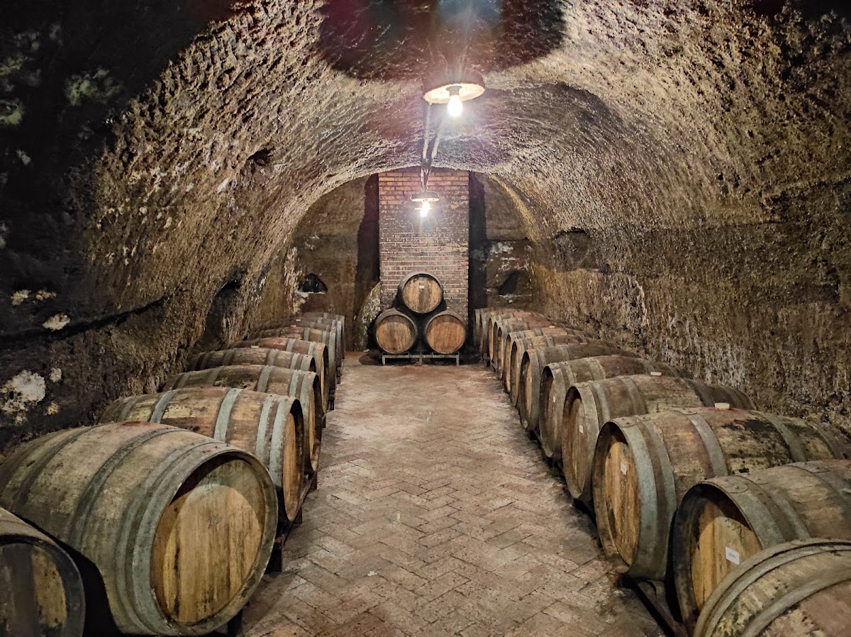 Cantine del Notaio soc. agr. ar.l. — Ristorante a Potenza, Potenza