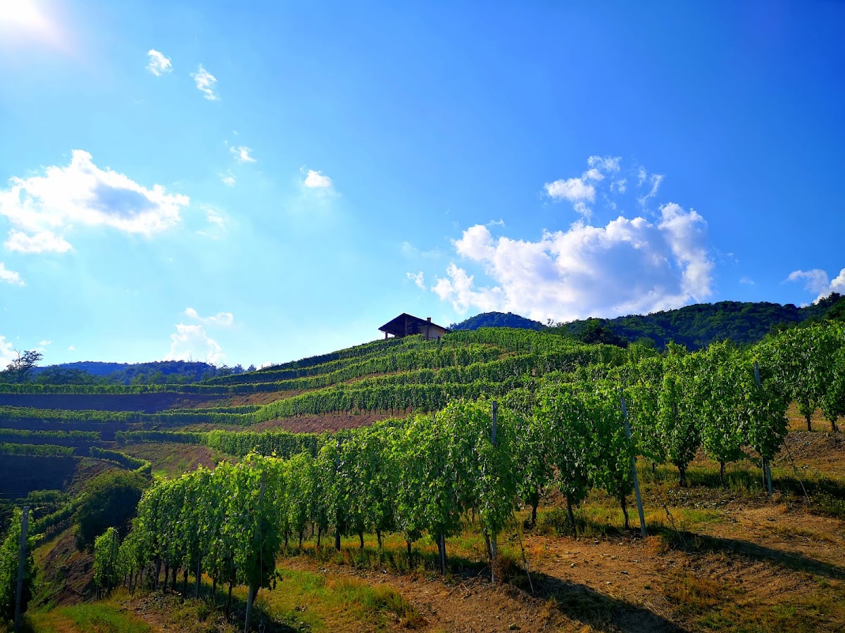 Cantine Rogiotto — Ristorante a Orta San Giulio, Novara