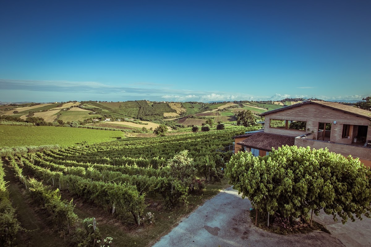 Azienda Agricola Mario Lucchetti
