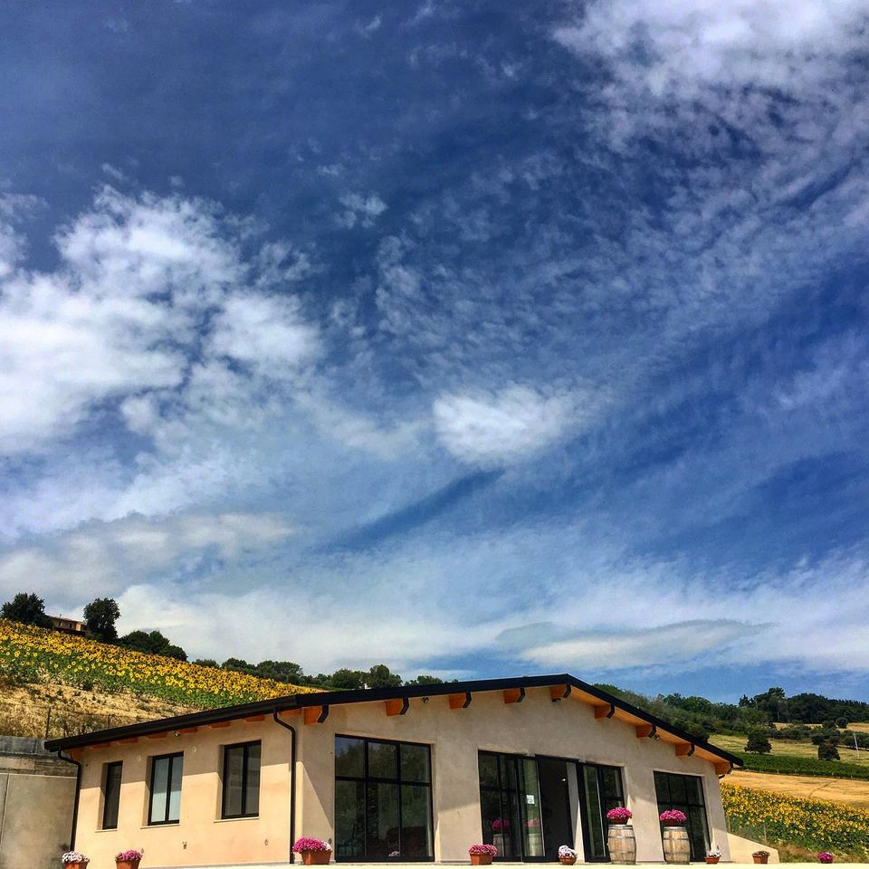Azienda Agricola Cantina di Paglia — Ristorante a Ascoli Piceno, Ascoli Piceno