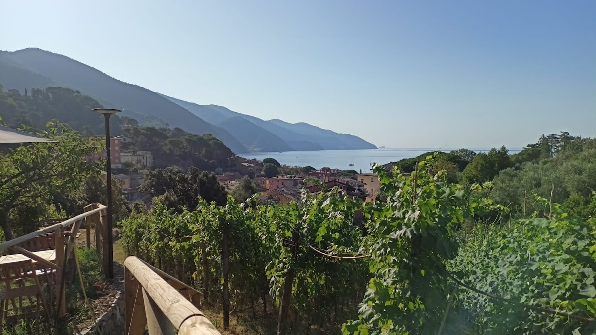 Azienda Agricola Vétua