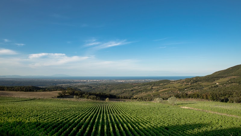 Tenuta Prima Pietra