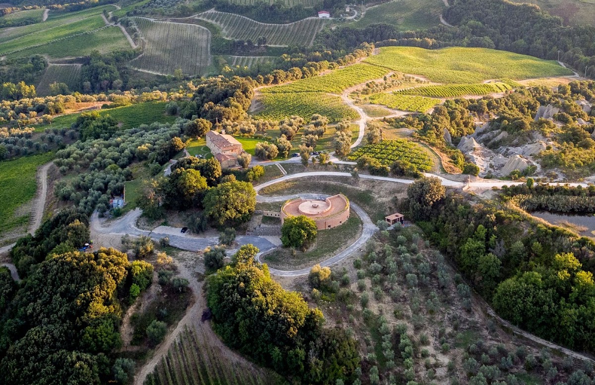 Podere Le Ripi | Winery in Montalcino — Ristorante a Montalcino, Siena