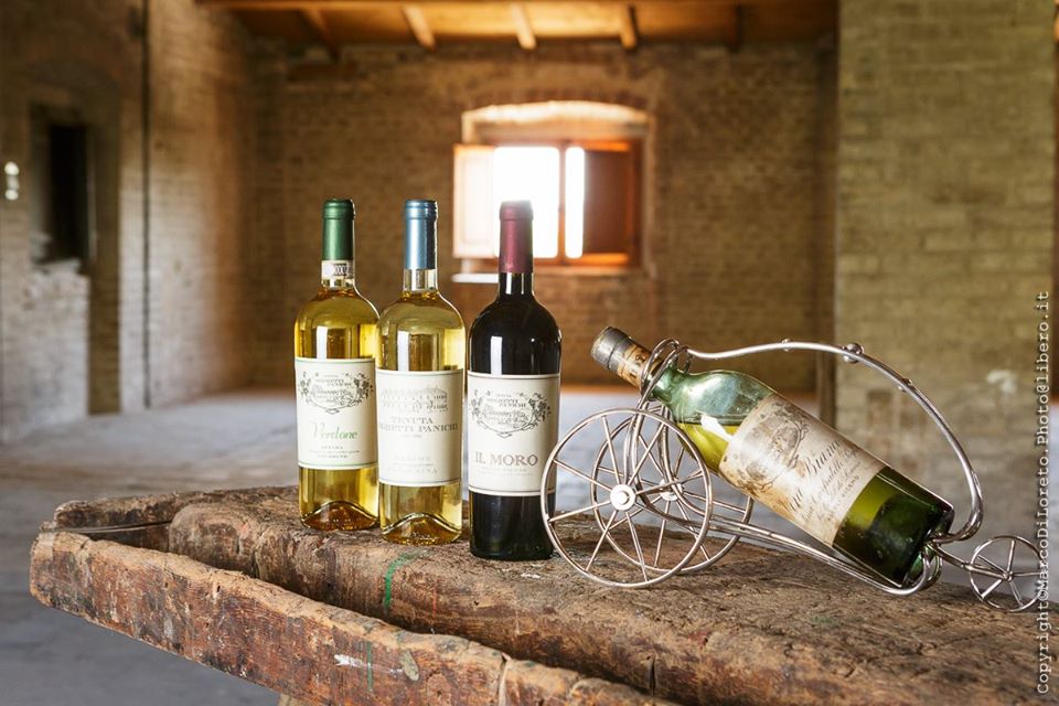 Tenuta Seghetti Panichi — Ristorante a Ascoli Piceno, Ascoli Piceno