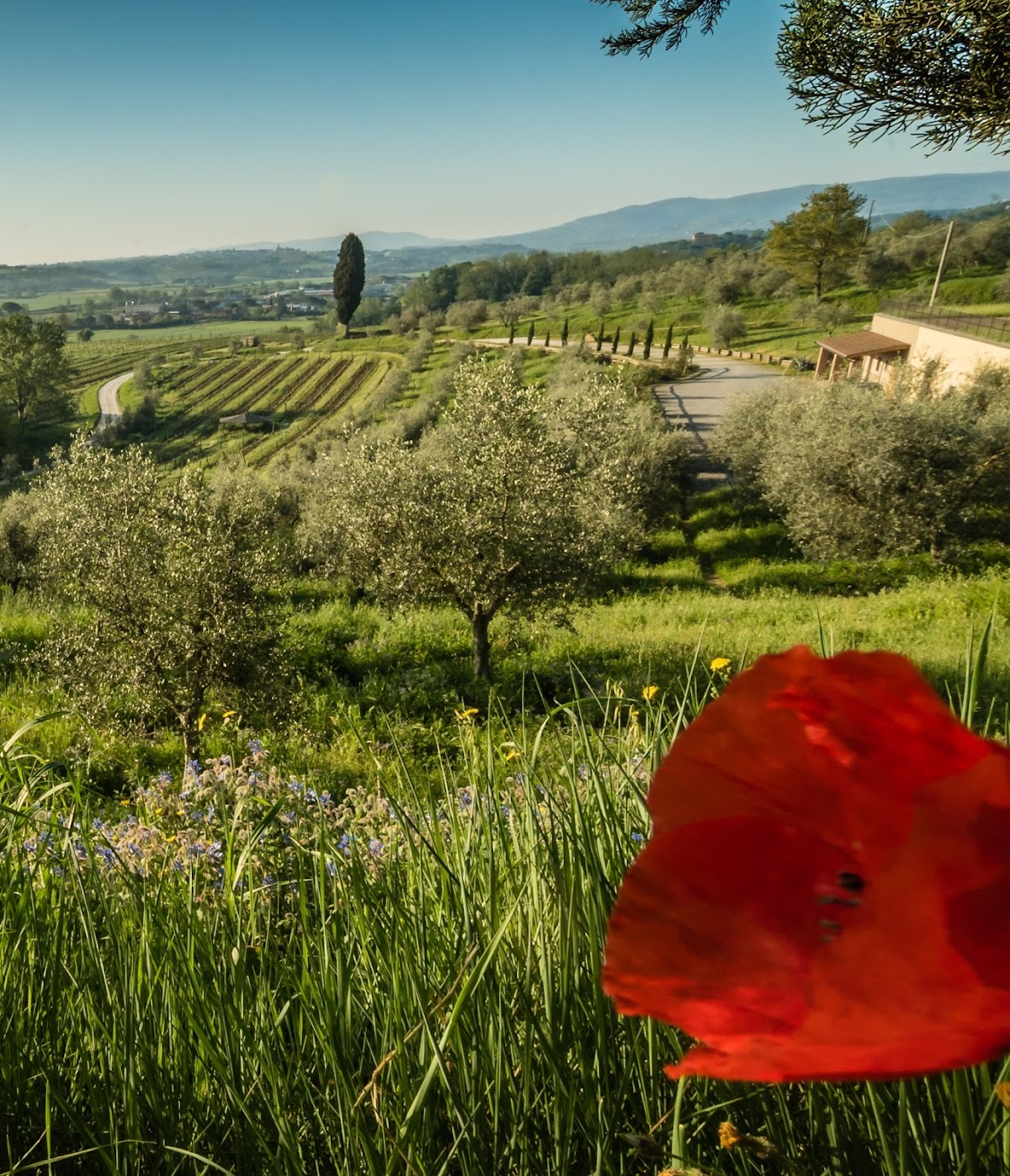 Podere Spazzavento