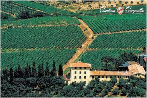 Casal Cerquetta Location eventi ed Enoteca — Ristorante a Frascati, Roma