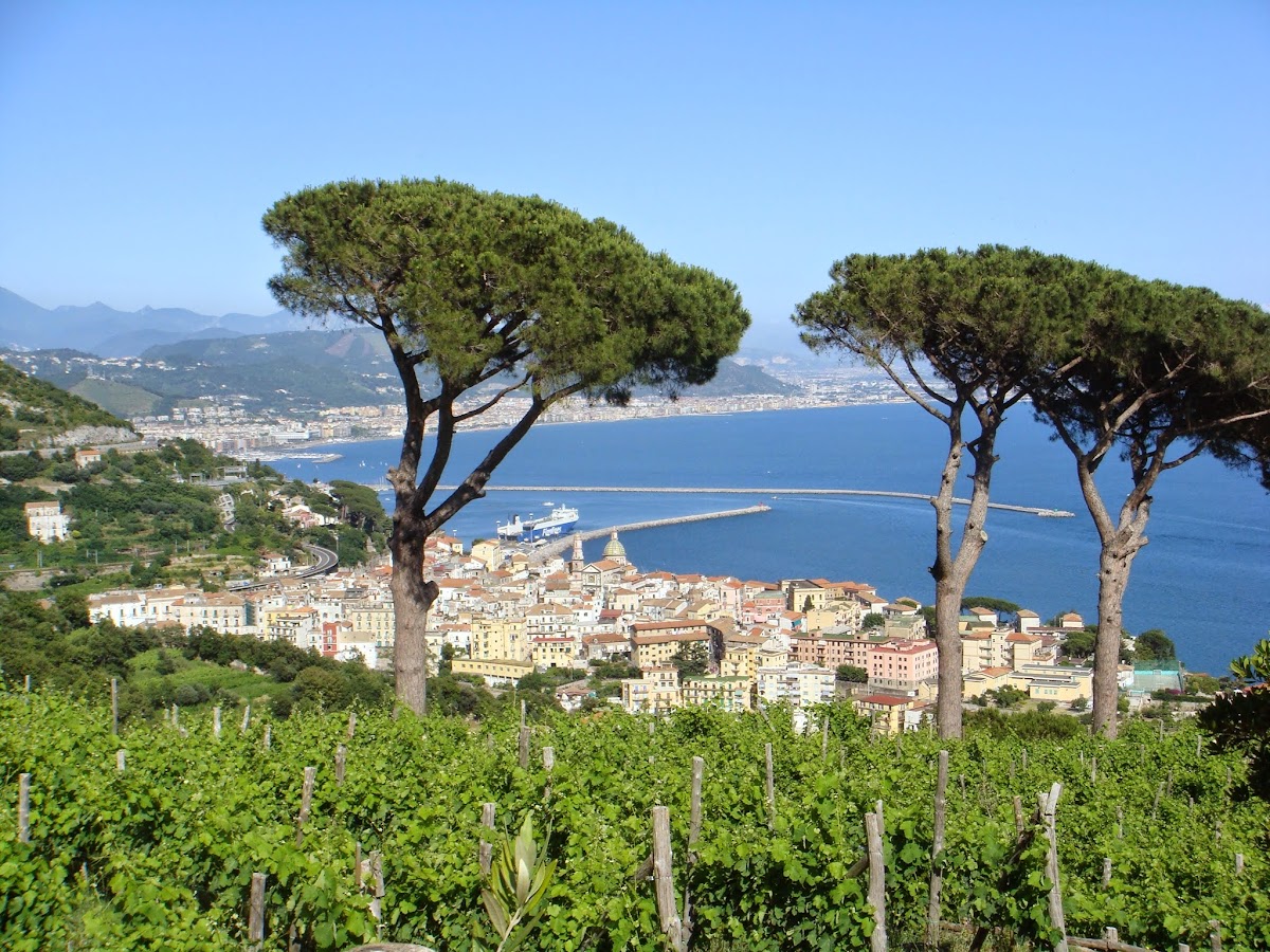 Le Vigne di Raito — Ristorante a Salerno, Salerno