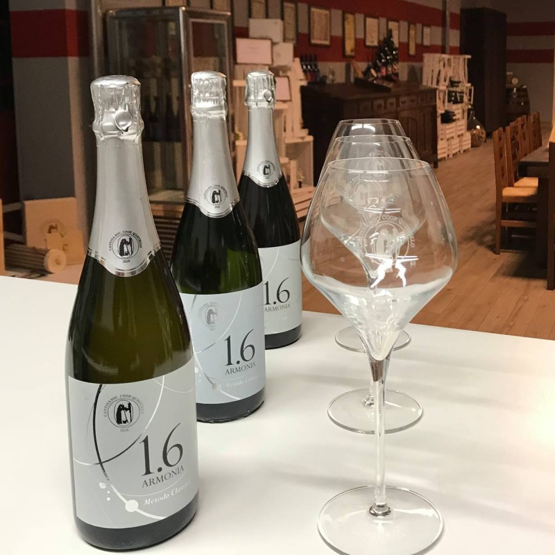 Cantina Sociale di Quistello — Ristorante a Mantova, Mantova
