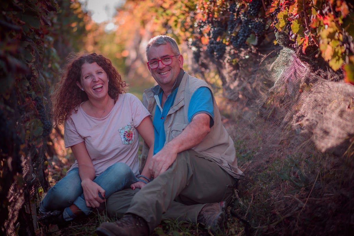 LasteRosse - Azienda agricola e Cantina. Vini e Mele