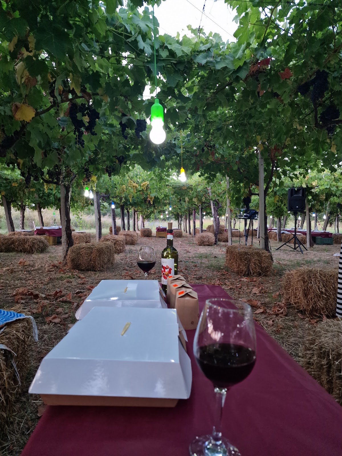 Cantine Fratino