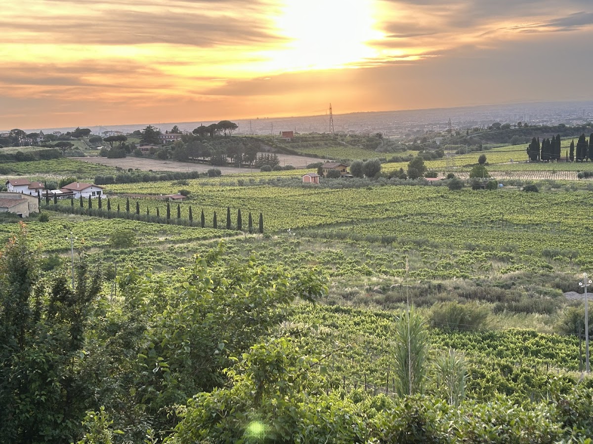 Merumalia Società Agricola Semplice — Ristorante a Roma, Roma