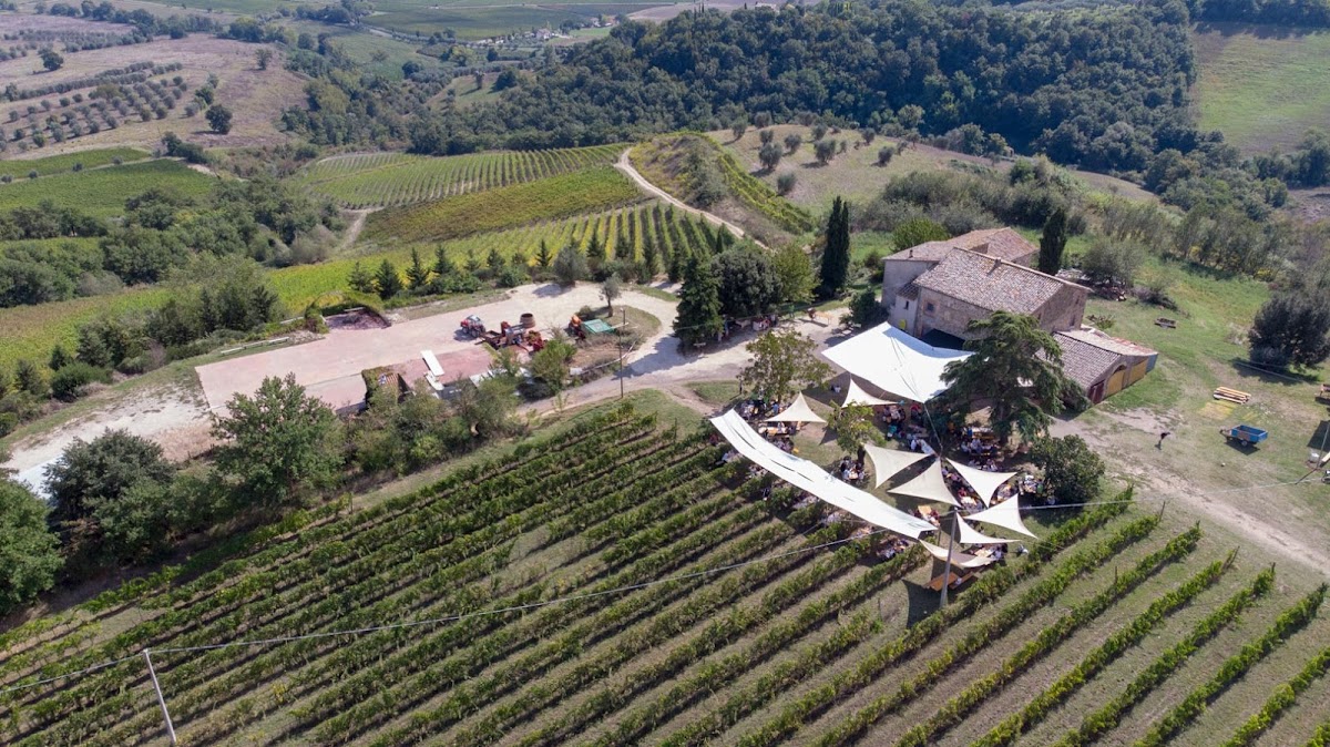 Azienda Biologica Trebotti - Vino Sostenibile