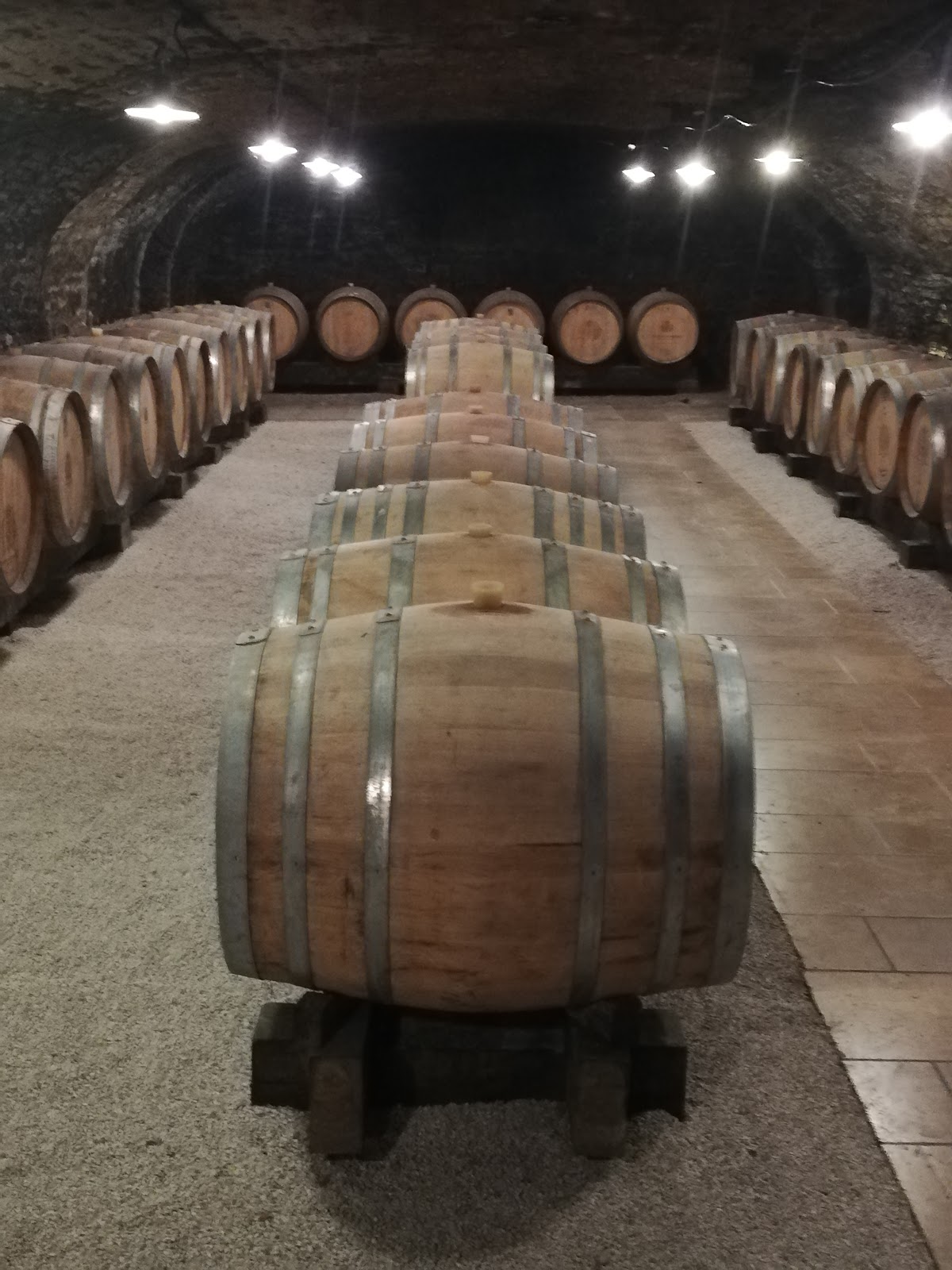 Cortona Wine Tours