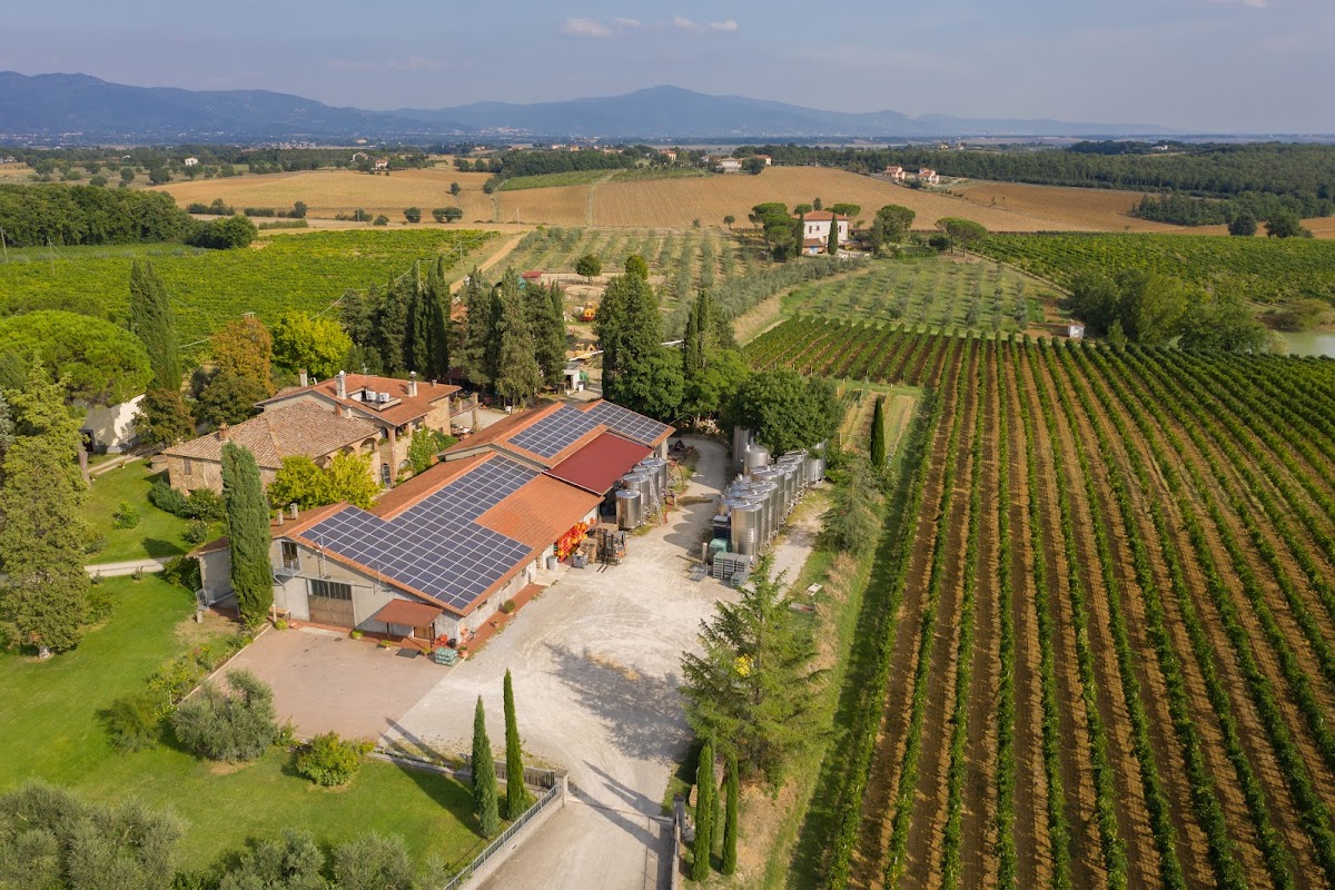 San Luciano vini di Toscana — Ristorante a Arezzo, Arezzo
