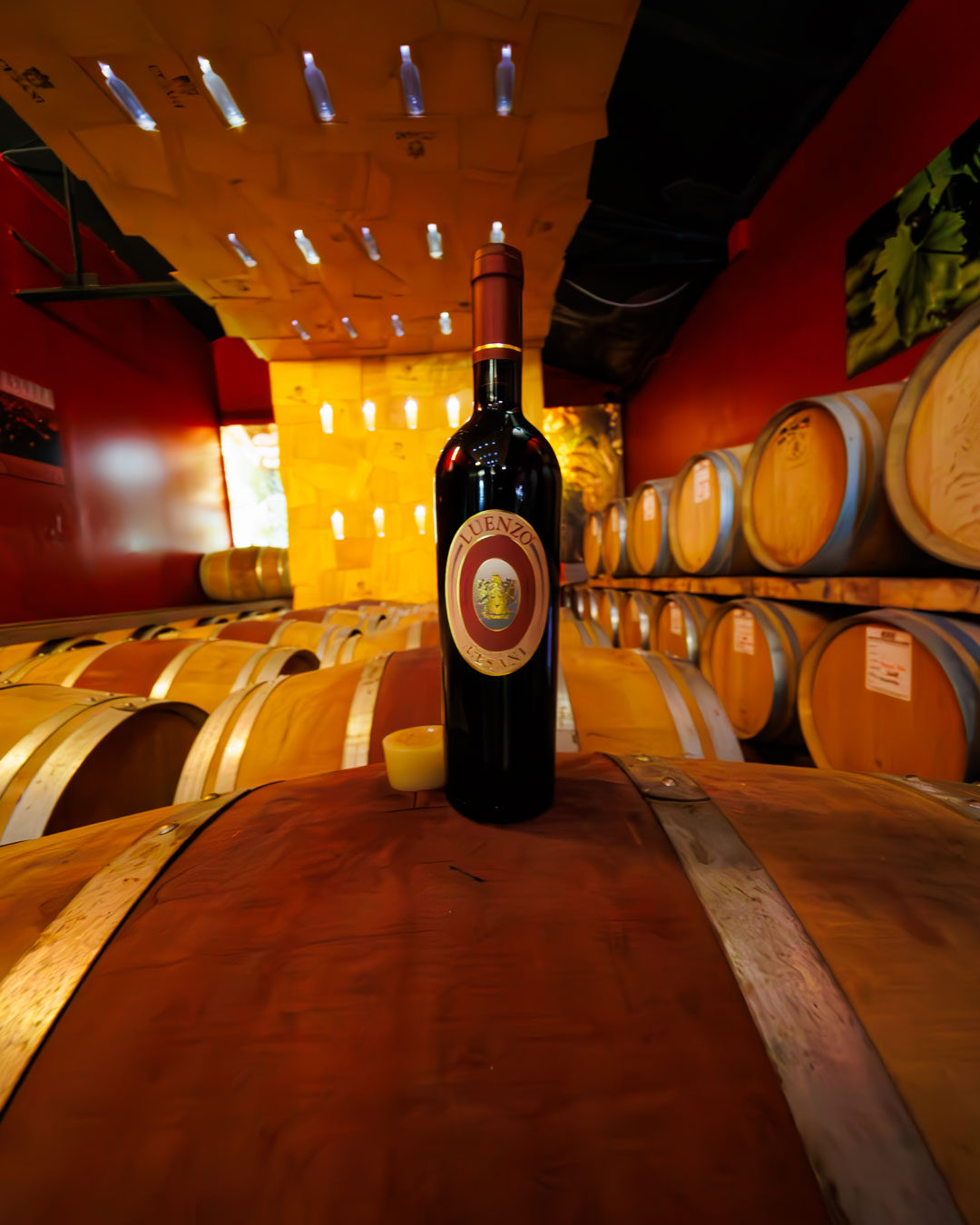 CESANI WINERY