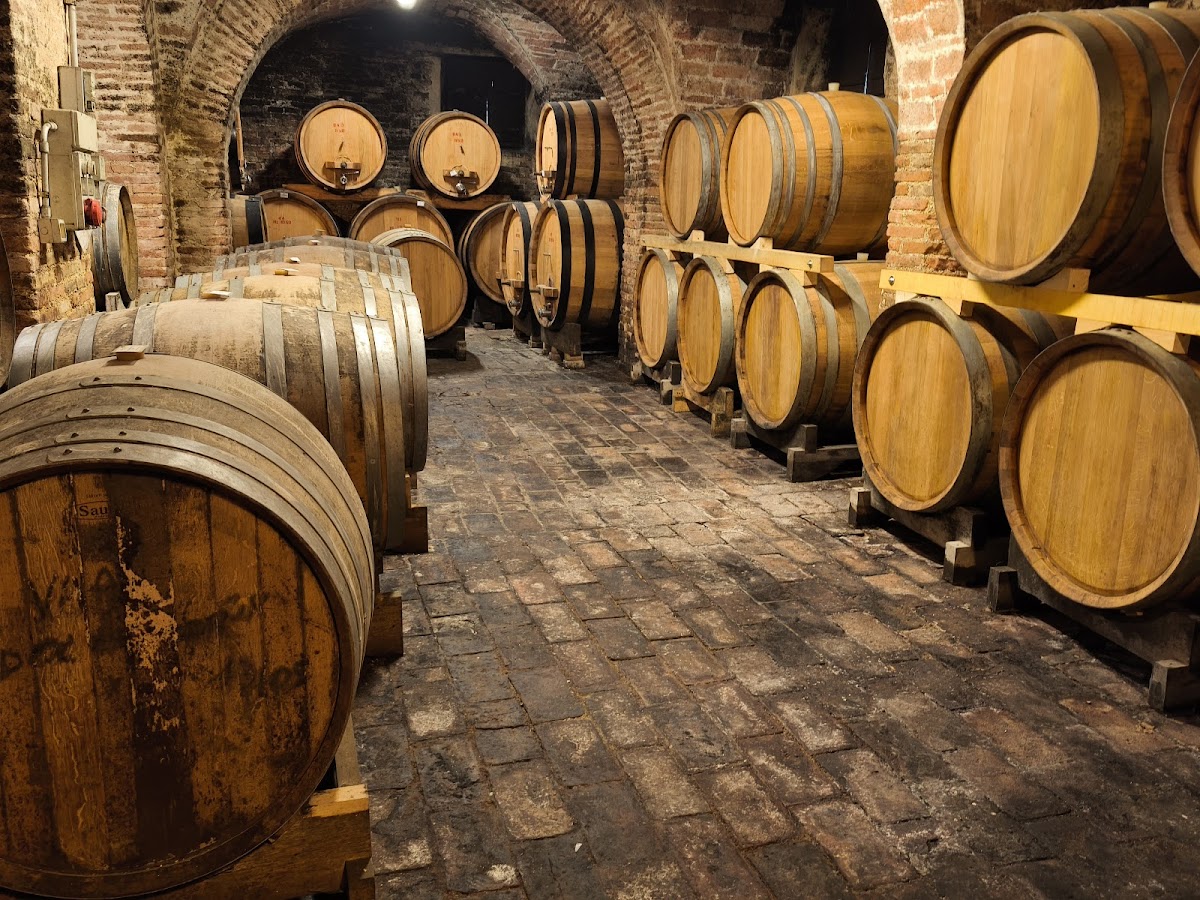 Azienda Agricola Malacari — Ristorante a Ancona, Ancona