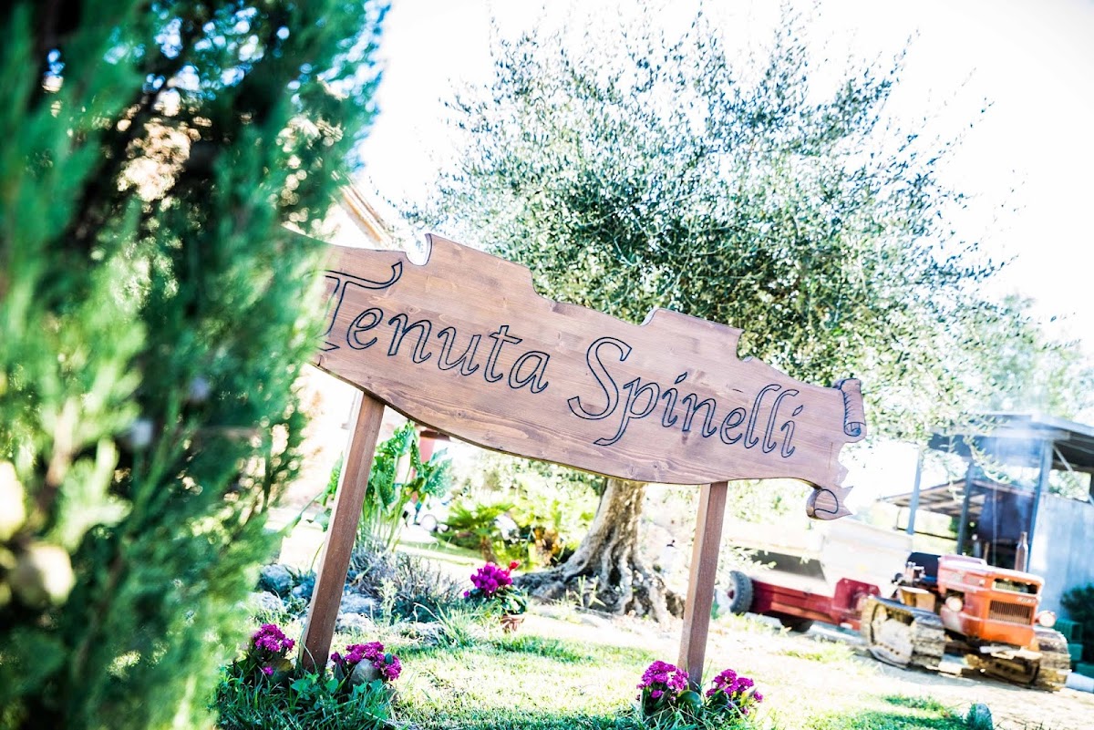 Tenuta Spinelli